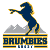 Brumbies Logo big